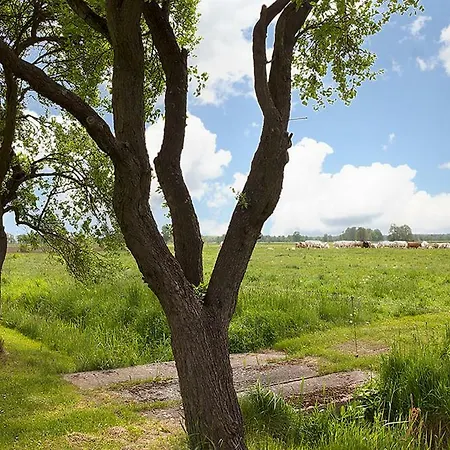 Spreewaldpension Andreas Krueger ゲストハウス