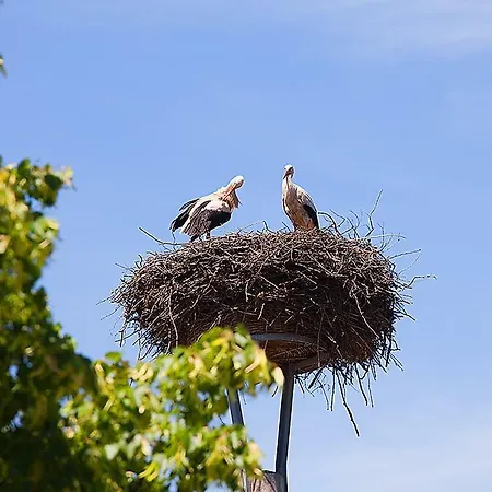 ゲストハウス Spreewaldpension Andreas Krueger