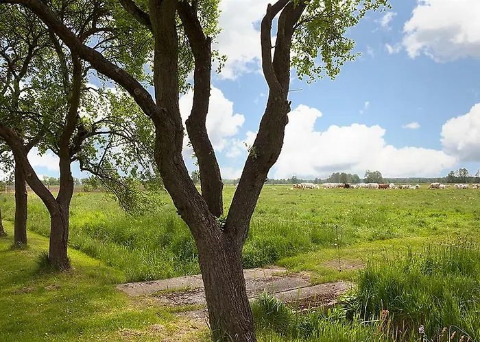 Spreewaldpension Andreas Krueger 招待所