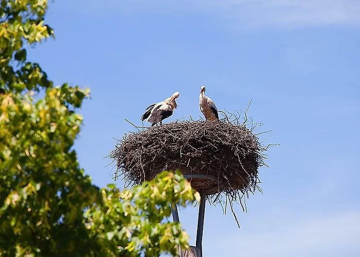 招待所 Spreewaldpension Andreas Krueger